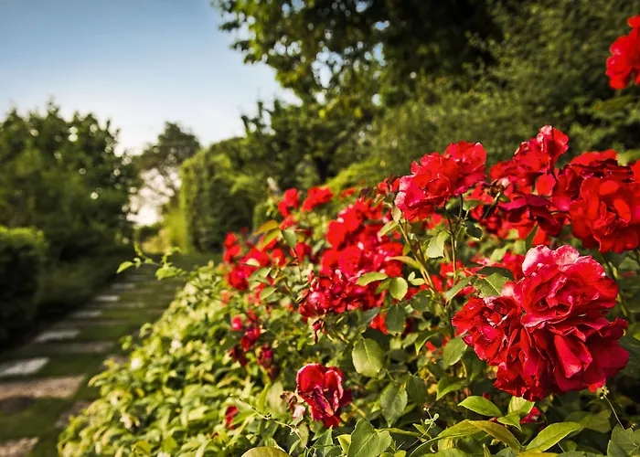 Corte Delle Cicale Bardolino